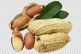 تصویر 4 از بادام زمینی خوش‌ طعم برای آجیل و میان‌ وعده